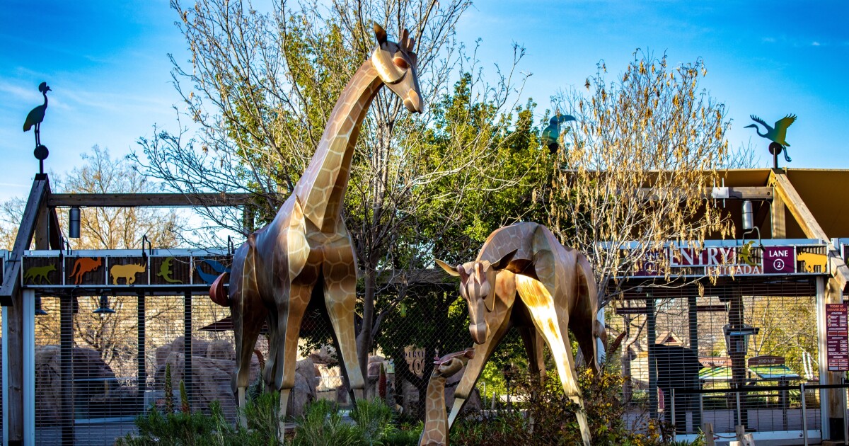 Climate change is impacting Colorado businesses, so now they’re adjusting [Video]