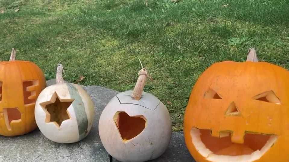 Hyde Park community steps in to save Pumpkin Party [Video]