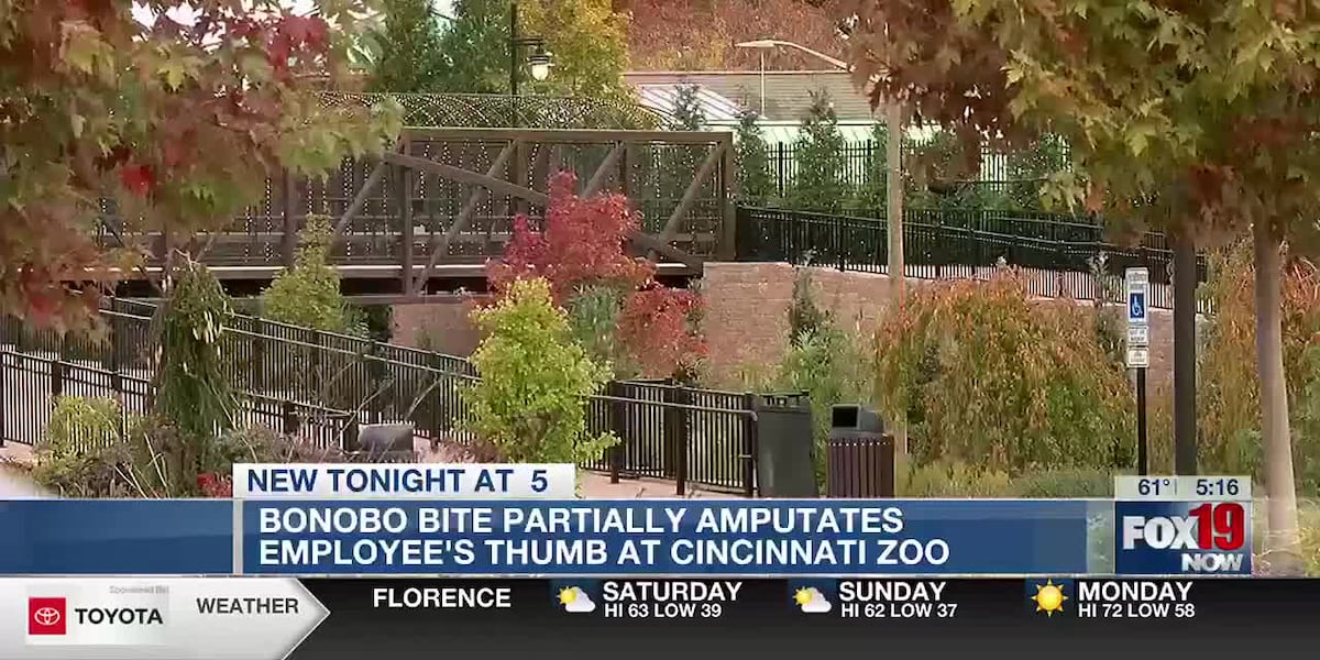 Cincinnati Zoo employee suffers partial thumb amputation from primate [Video]