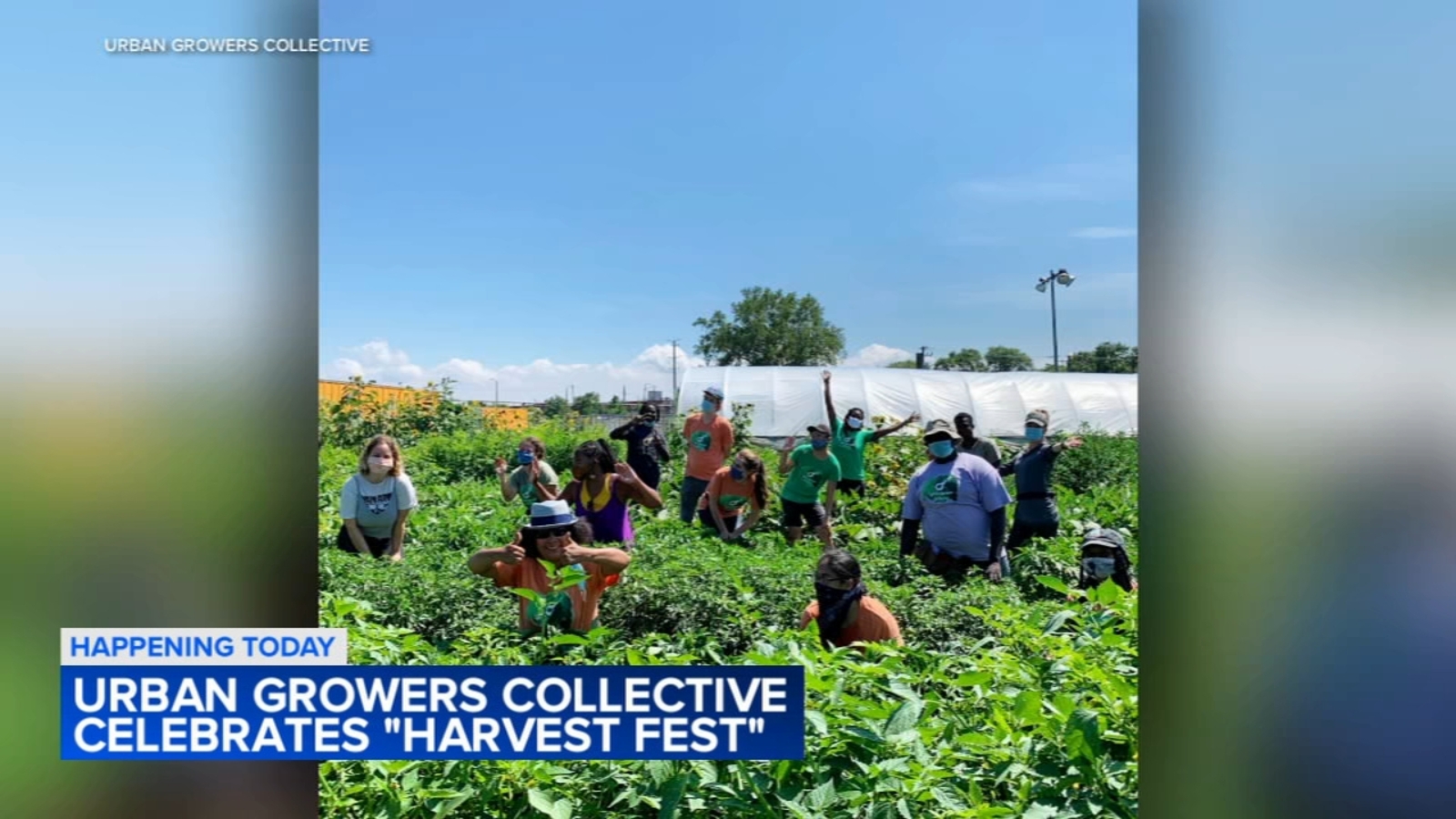 Urban Growers Collective celebrate Harvest Fest with fall festivities [Video]