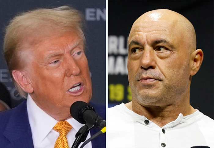 Trump repeated election lies in his interview with Joe Rogan. Here are the facts [Video]