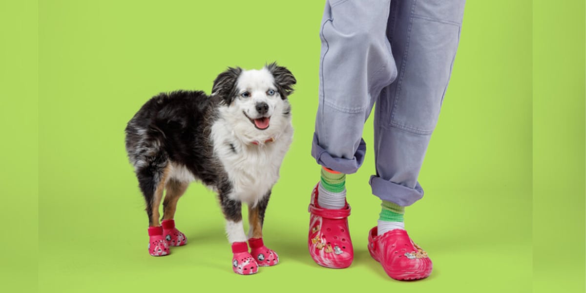 Crocs for Dogs sell out on first day of launch [Video]