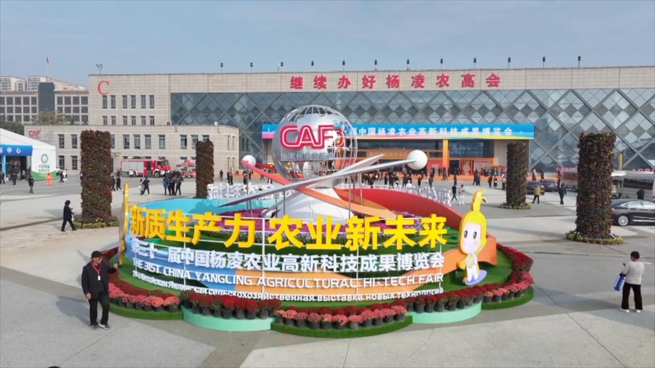 Shaanxi Province hosts fair showcasing innovations in agriculture tech [Video]