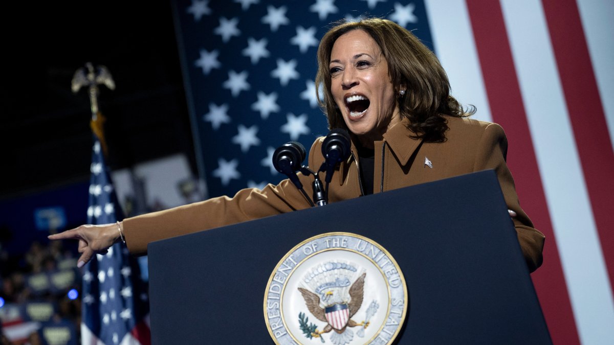 20,000 people expected for Kamala Harris DC speech on Tuesday  NBC4 Washington [Video]