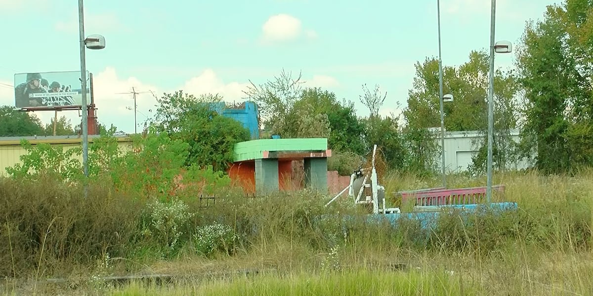 Clean it up, fix it up, or sell it. No more slum: Community leaders call to repurpose North Jackson eye sore [Video]