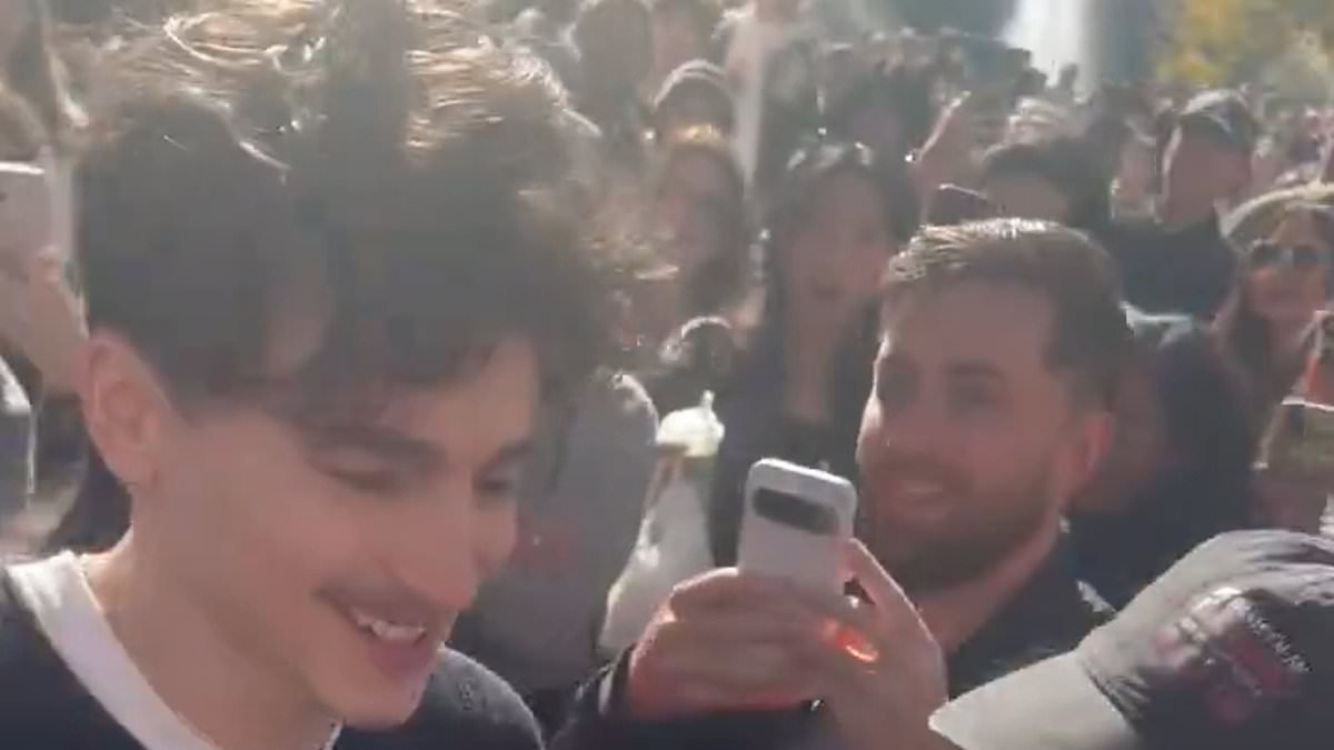 Timothee Chalamet sparks pandemonium as he shows up at his OWN lookalike contest in New York [Video]