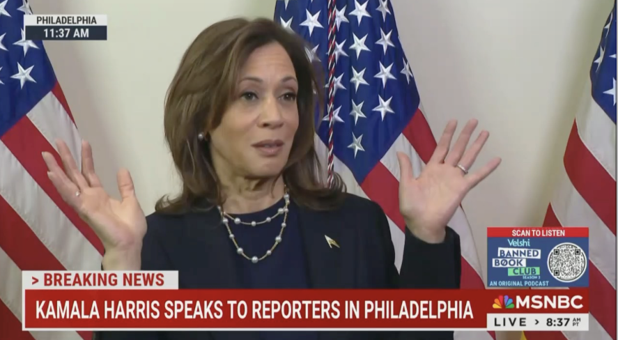 Kamala Harris Dismisses Polls, Says She Trusts ‘Instinct’ [Video]