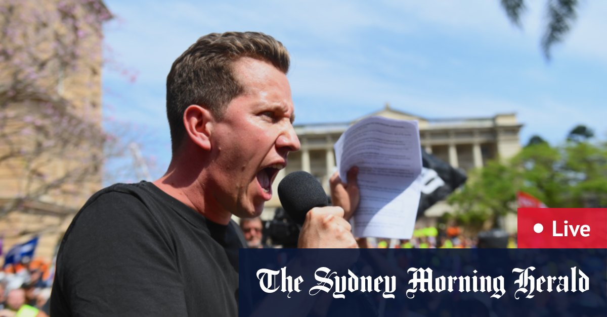 Premier David Crisafulli assures public servants their jobs are safe, Greens voters shocked by CFMEU support, says Plibersek [Video]