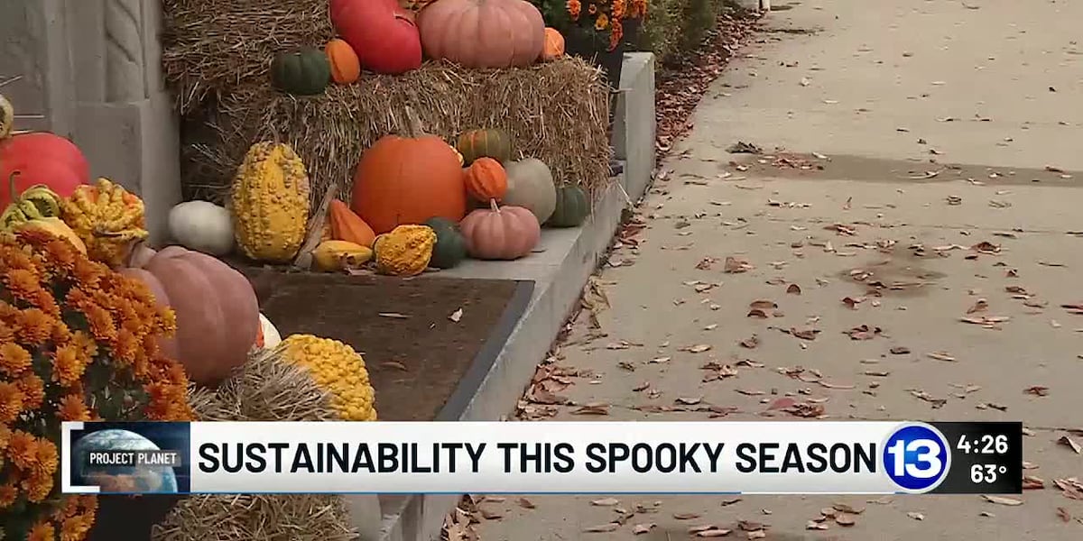 Project Planet: Spooky sustainability tips for Halloween [Video]