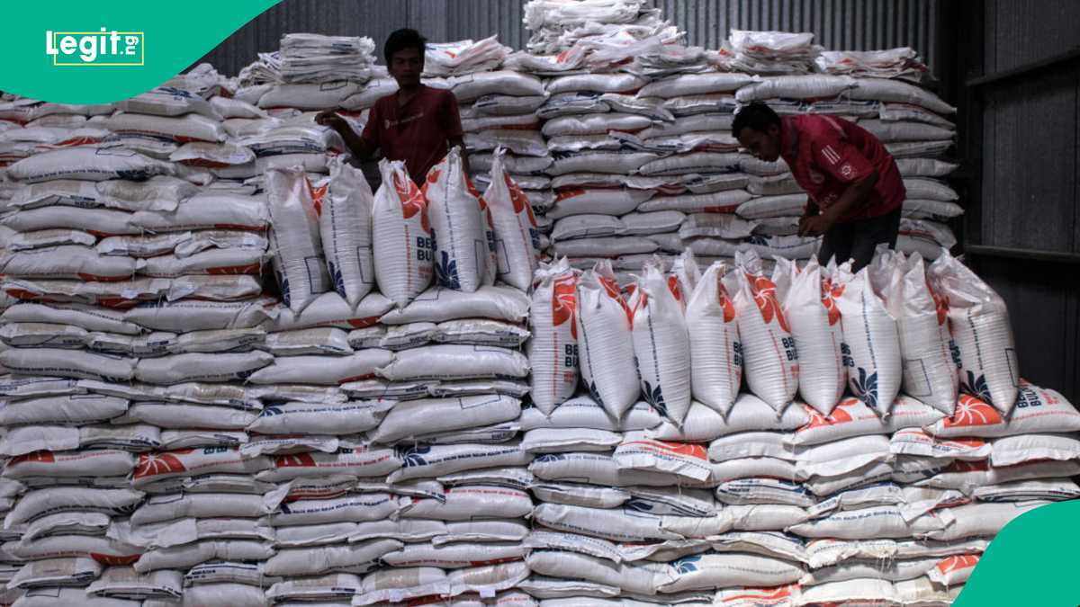 Price of Rice Rises to N160k as Power Outage Worsens in Gombe State [Video]