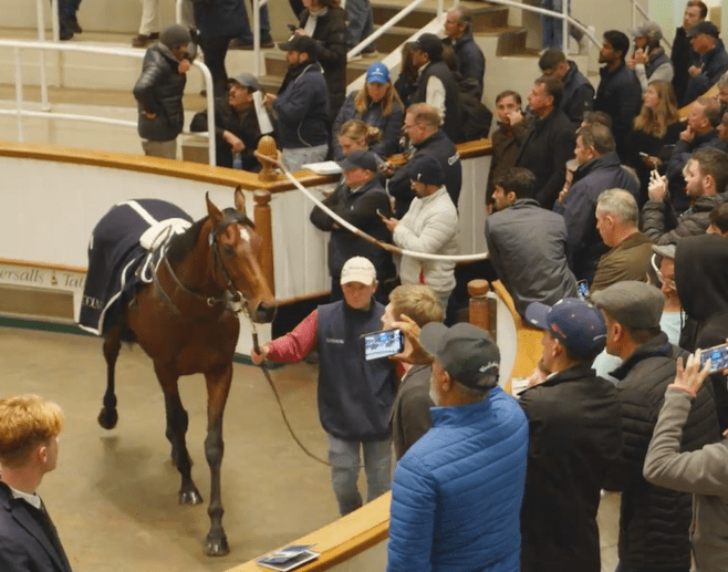 Coolmore sell 