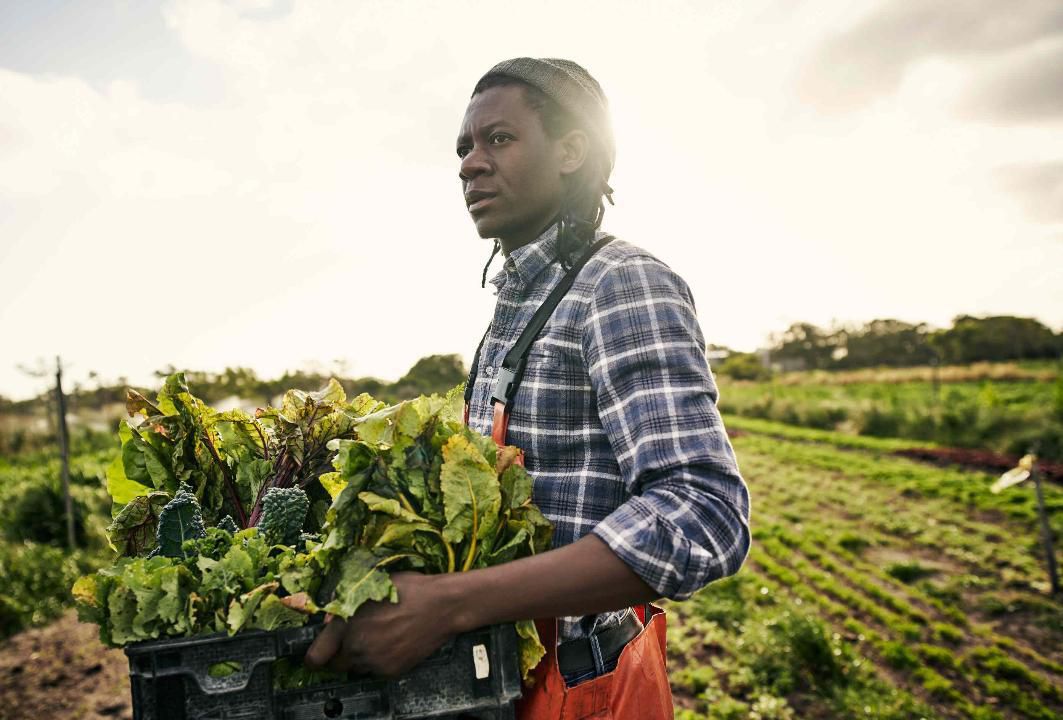 Farmers of Color Conference Offers Resources, Networking [Video]