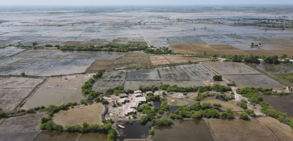 Pakistan: Flood survivors in Sindh province suffer disease and food insecurity amid government inaction  new testimony [Video]