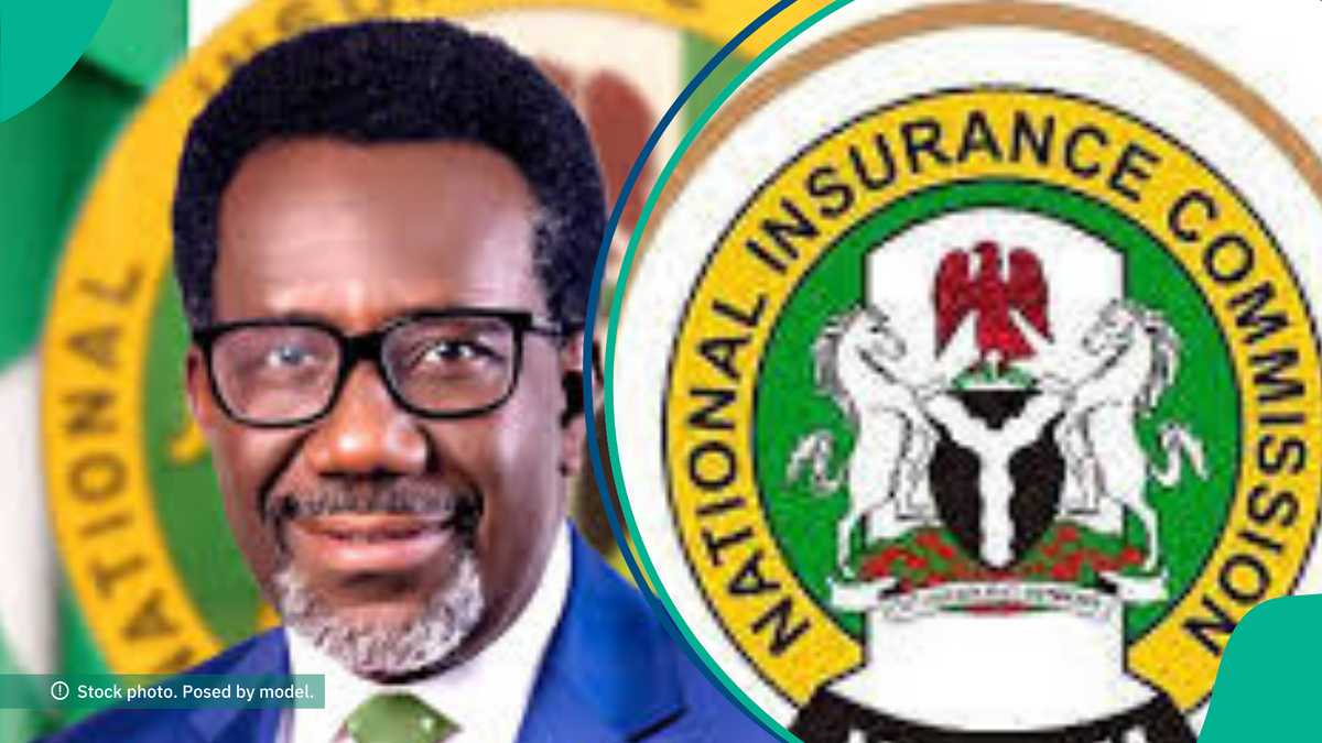 NAICOM Appoints Interim MD, Others After Sacking Board, Management of African Alliance Insurance [Video]