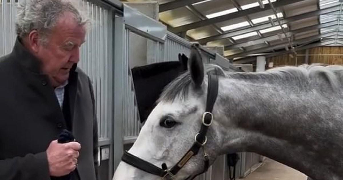 Jeremy Clarkson forced to fend off horse from smelling his testicles