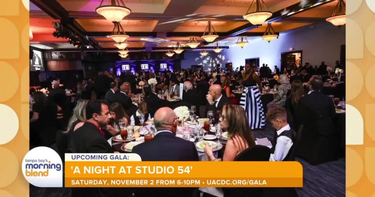 University Area CDC Hosting ‘A Night at Studio 54’ Gala This Saturday, Nov. 2 [Video]