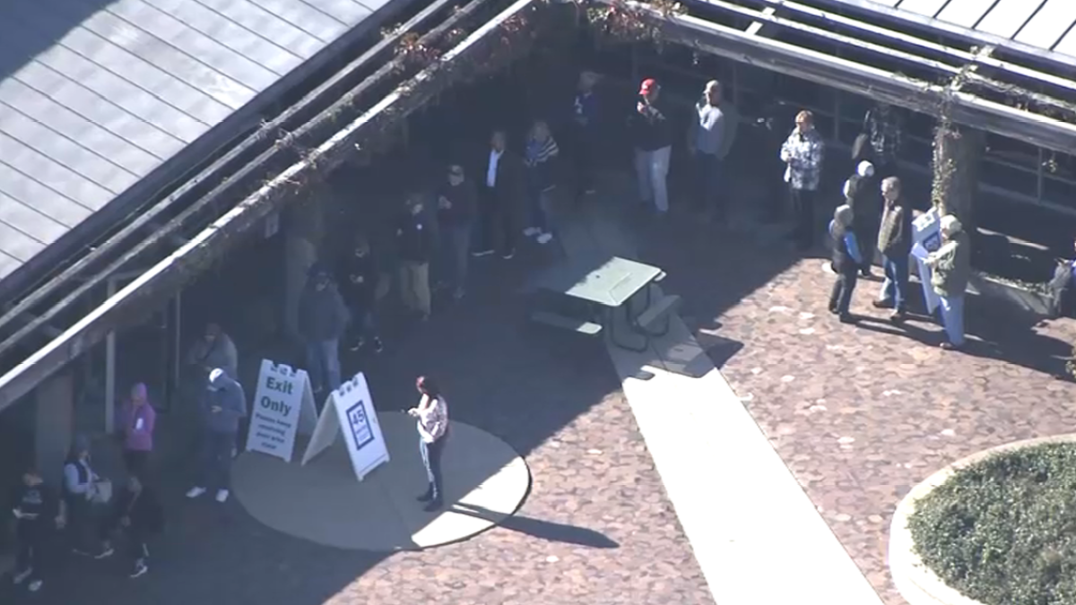 Long lines, wait times reported at early voting sites across Chicago  NBC Chicago [Video]