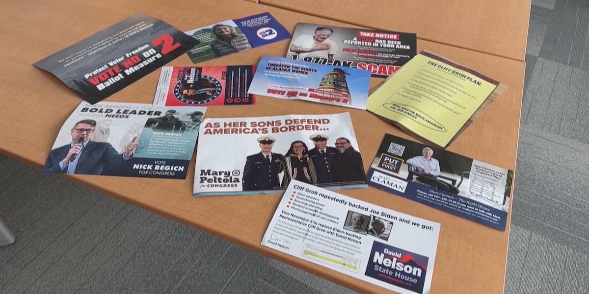 My mailbox is full: As campaign flyers inundate voters, campaigns say they work [Video]