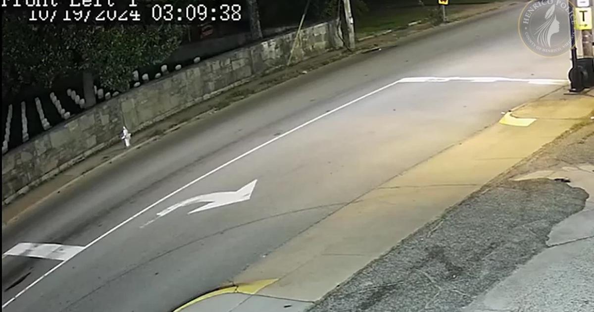 Henrico County police release video of Sandston vandalism