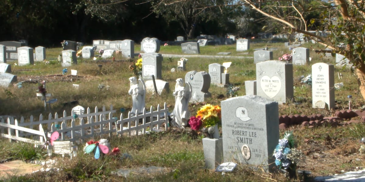 Historic Charleston cemetery with long-term problems to see cleanup plan [Video]