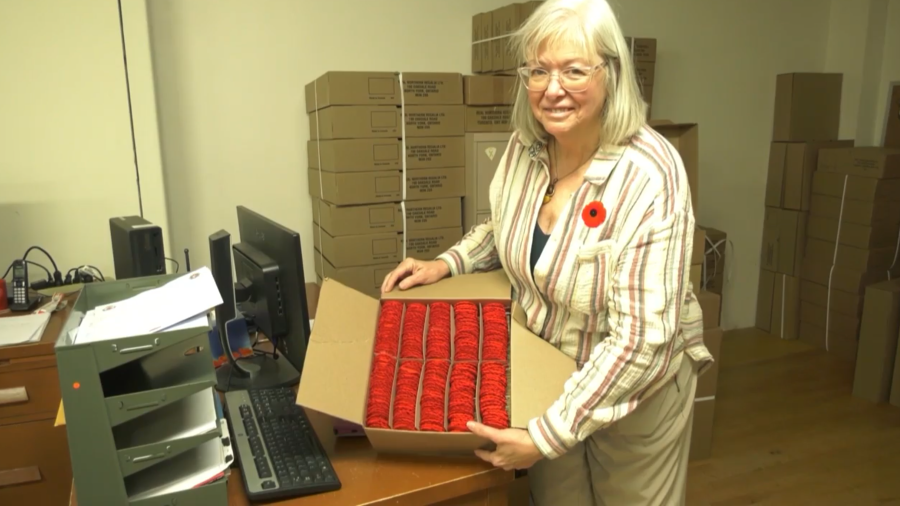 Saskatoon Poppy Campaign funds support veterans [Video]