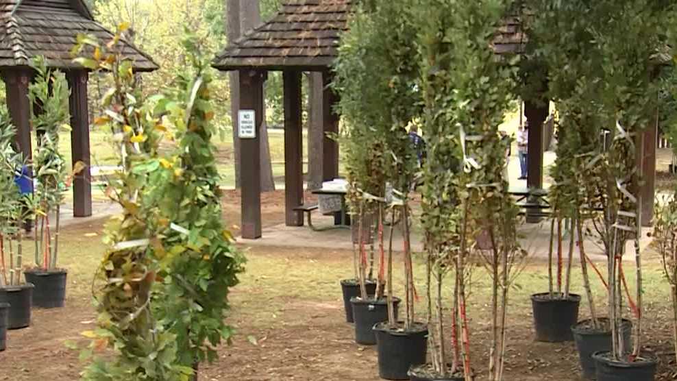 Homewood celebrates annual tree giveaway event Saturday [Video]