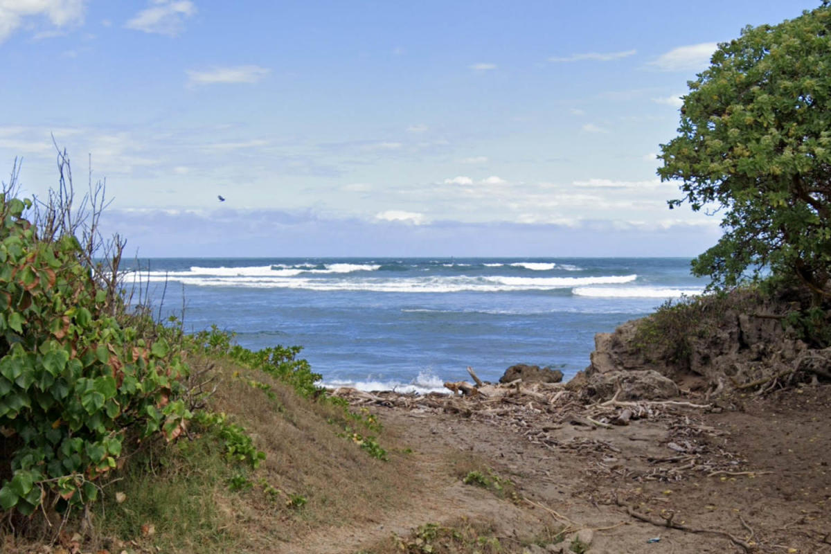 Surfer in Maui shark attack loses part of his leg [Video]