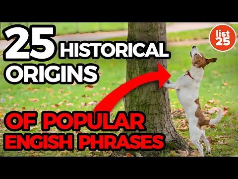 25 Historical Origins of Popular English Phrases You Won’t Believe [Video]