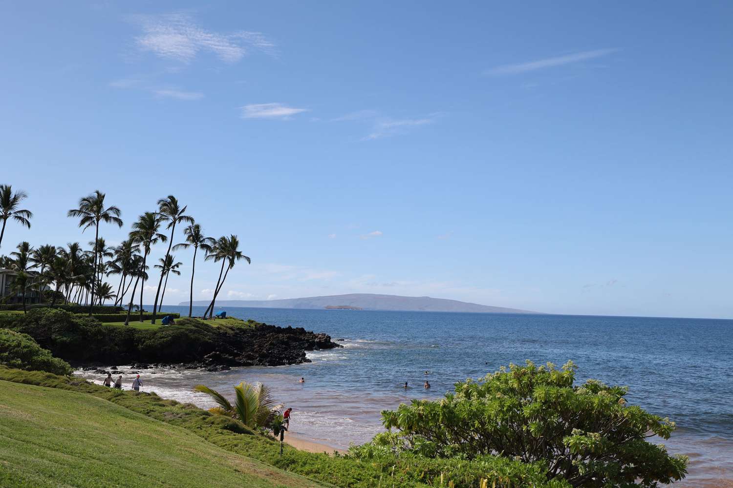 Surfer, 61, Loses Leg in Shark Attack in Hawaii [Video]