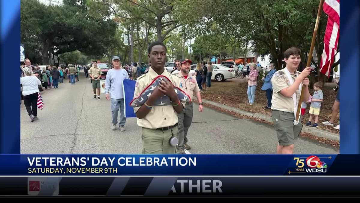 Veterans Day Parade preview [Video]