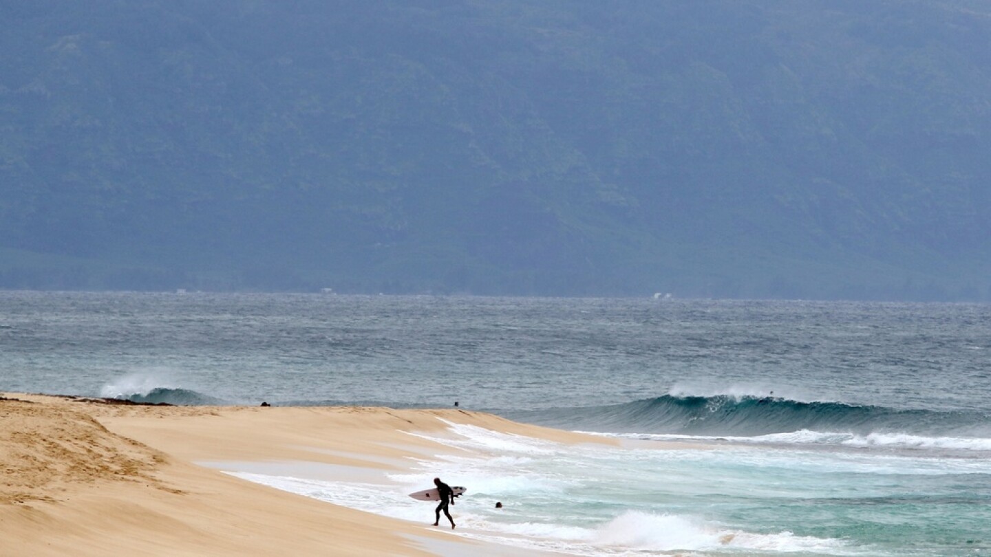 Shark bites Hawaii surfer, severing leg below the knee [Video]