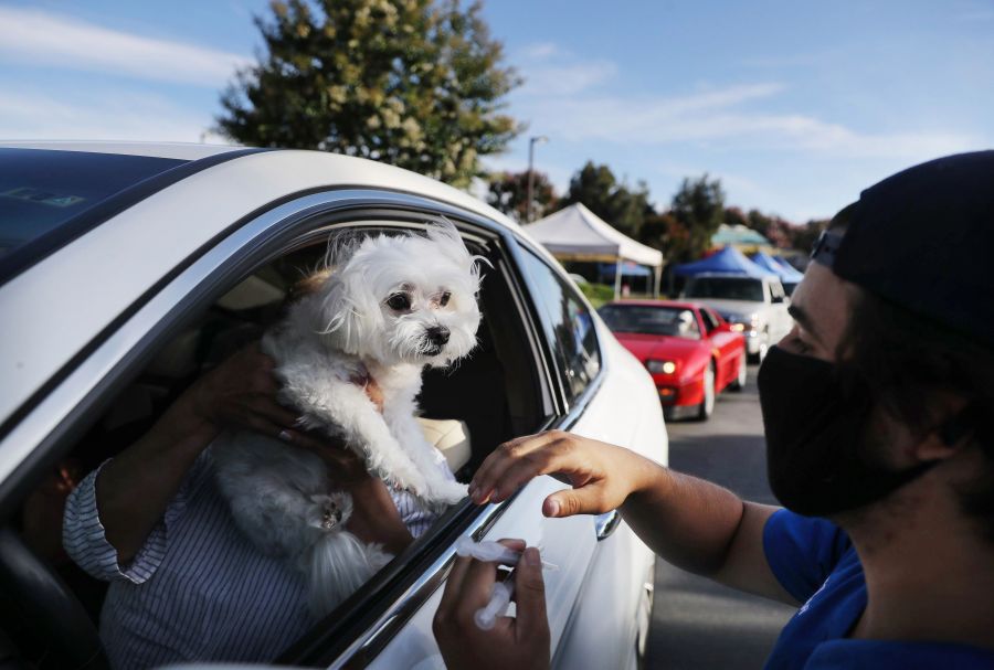 Free pet vaccine clinic happening in Baton Rouge at Southern University [Video]