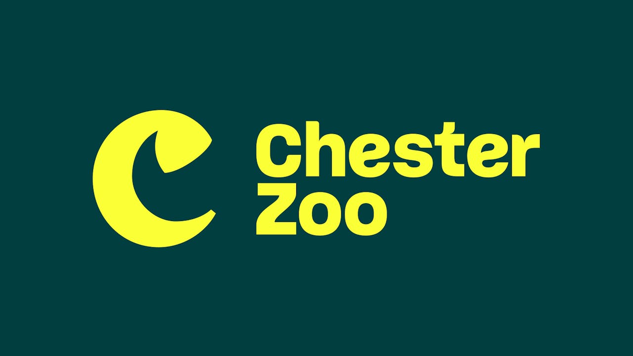 Is zoo a dirty word? Chester Zoo repositions around conservation [Video]