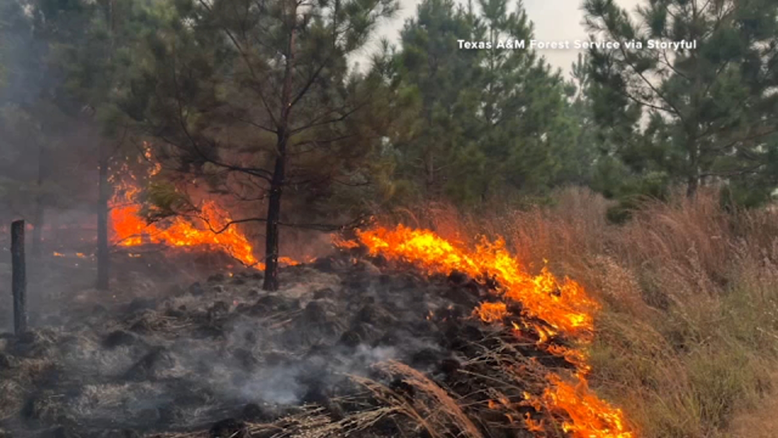 Bastrop County wildfire: Texas A&M Forest Service says Hudson Fire has reached 80% containment after breaking out on Nov. 3 [Video]