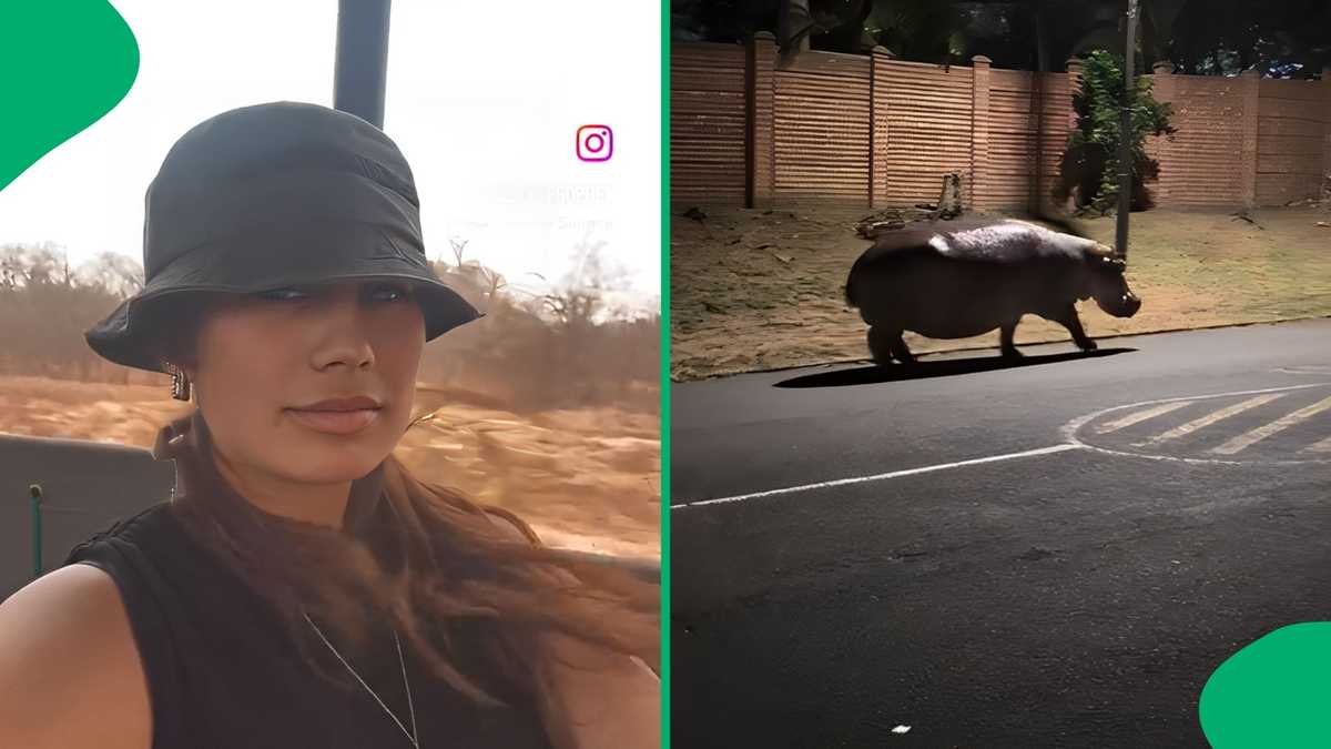 South Africans Arent Scared of Anything: Woman Spots a Hippo in St Lucia, Leaving SA Stunned [Video]