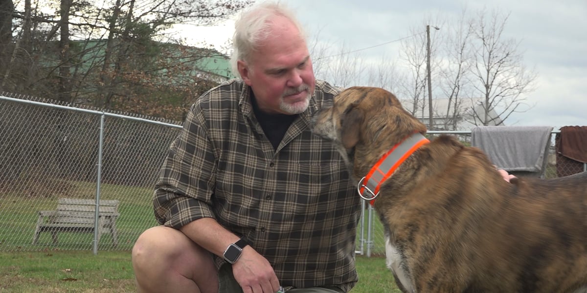 Dog adopted after living in shelter for over 900 days [Video]