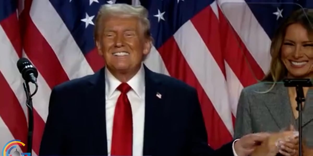 How Donald Trump Won [Video]