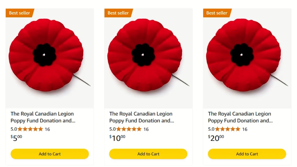 Remembrance Day poppies now available online [Video]