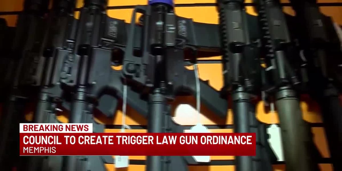 Memphis City Council crafting ordinance based on voters overwhelming support for local gun control [Video]