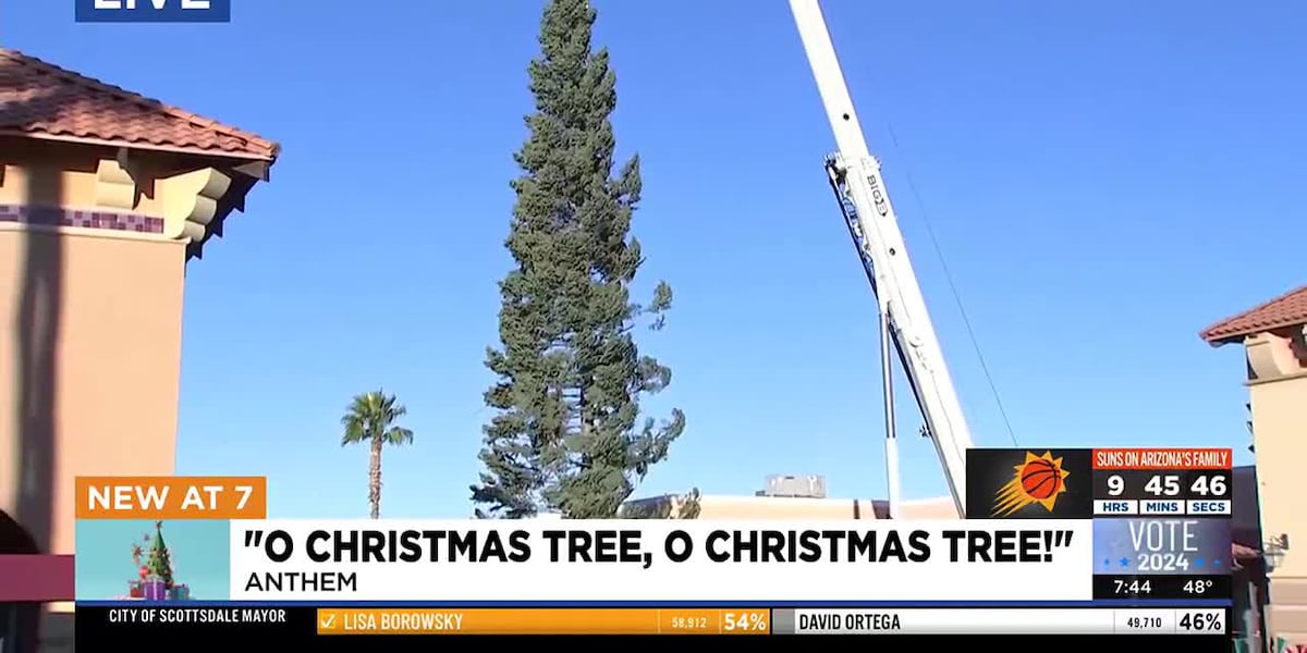 Arizona’s tallest Christmas tree arrives at Outlets North Phoenix [Video]