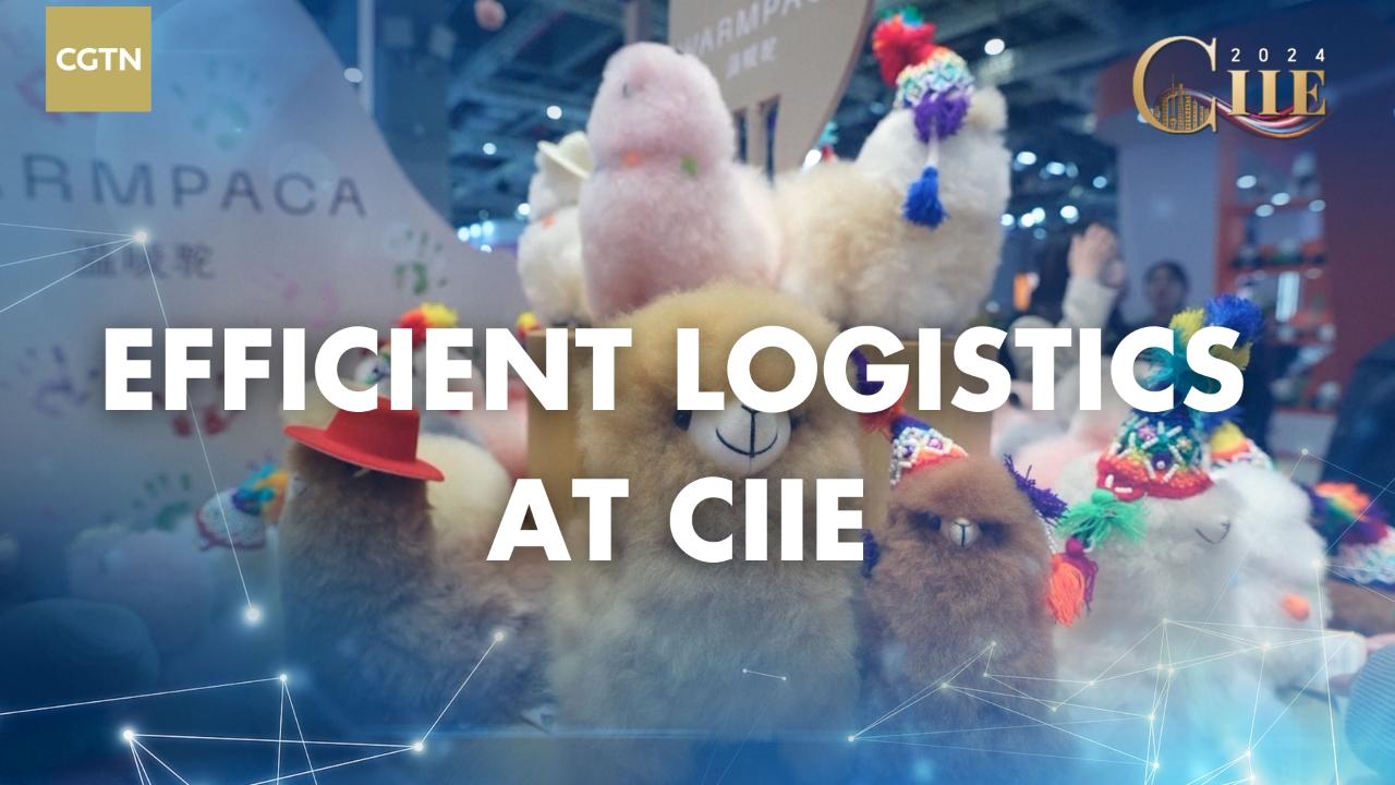 CIIE relies on efficient logistics to bring products to Shanghai [Video]