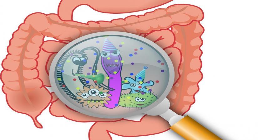 Gut microbiome changes may signal onset of rheumatoid arthritis [Video]