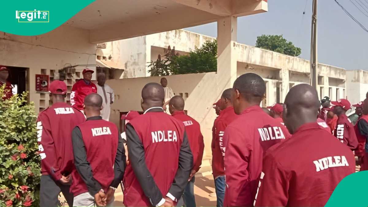 Tears as NDLEA Officers Allegedly Kill Youth During Raid in Plateau [Video]