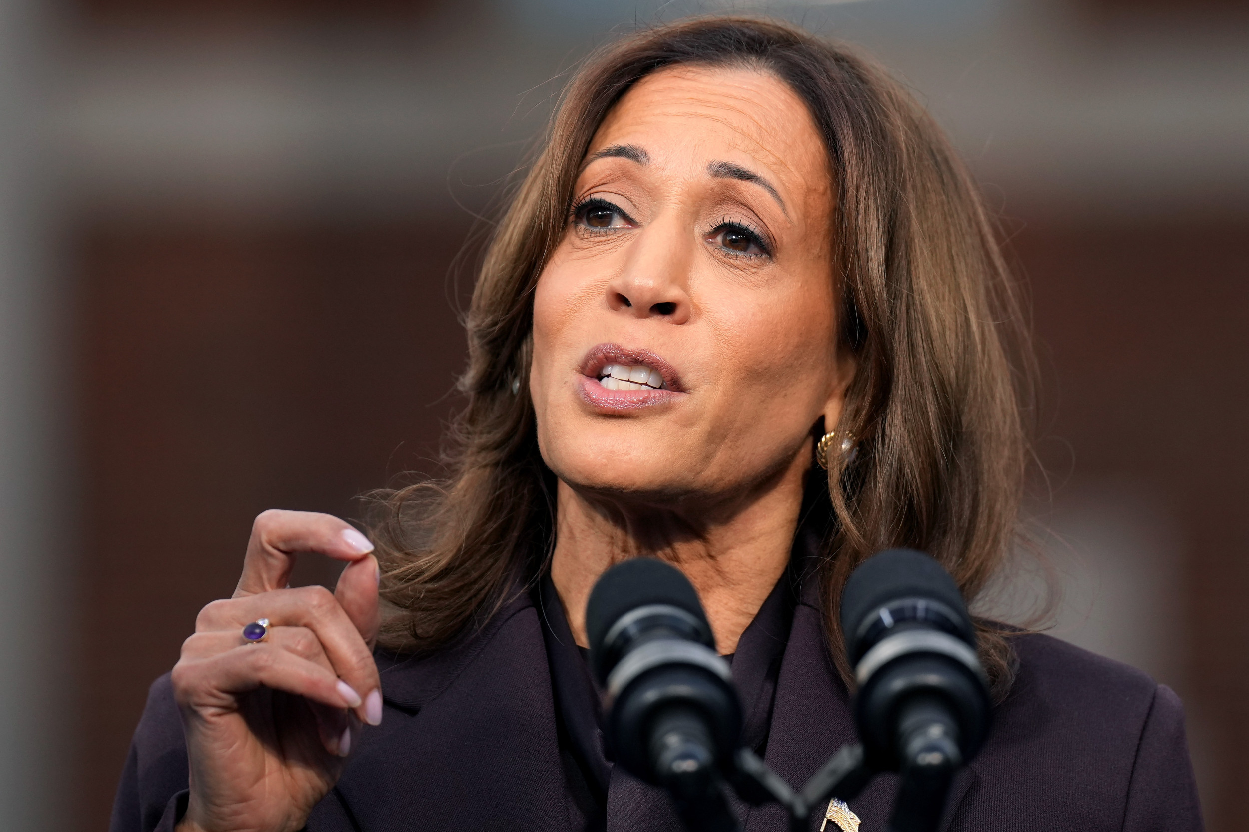 Fact Check: Did Kamala Harris Win Only Where Voter ID Isn’t Necessary? [Video]