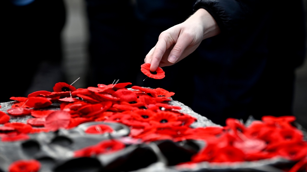 N.S. RCMP investigate poppy collection theft [Video]