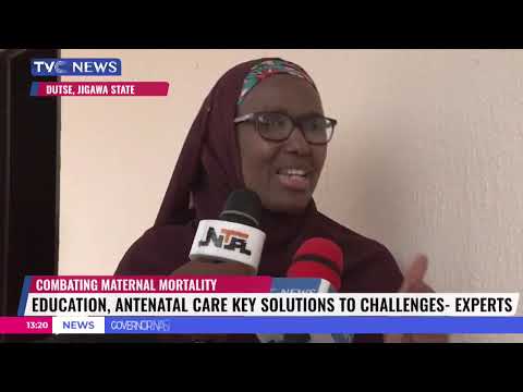 Experts Proffer Solution To Reduce Maternal Mortality [Video]