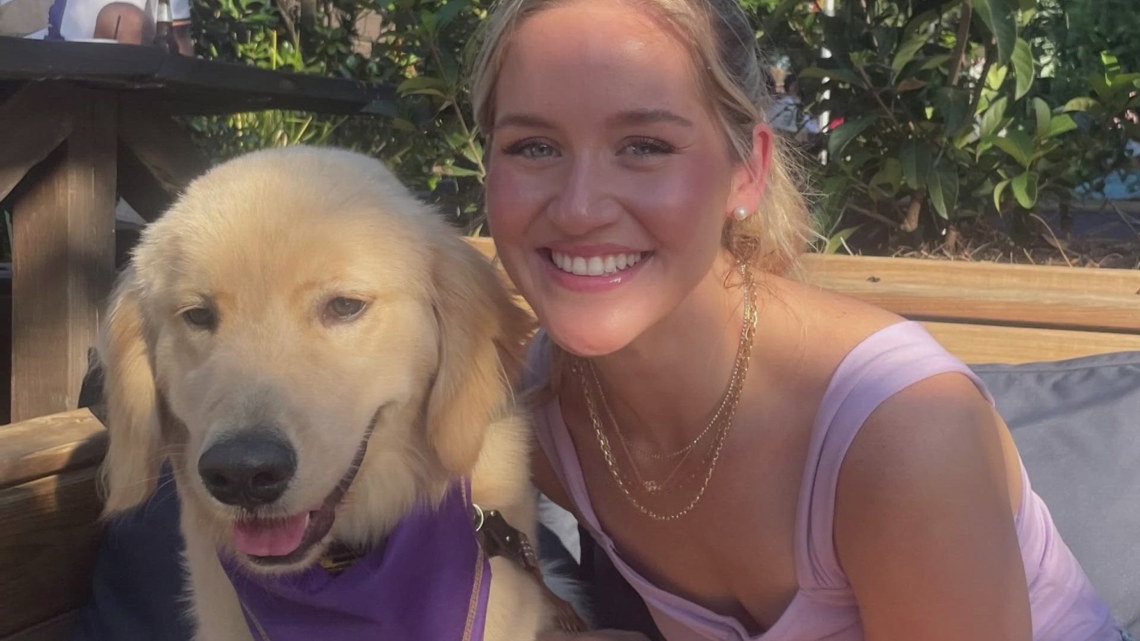 Social media search helps find a womans lost service dog [Video]