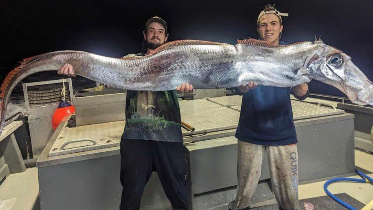 Photo Shows 2 Men Holding ‘Doomsday Fish’? [Video]