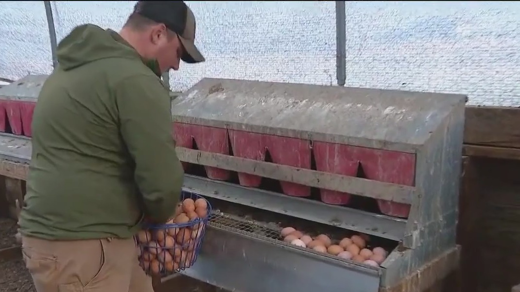 Will County farm provides fresh food to veterans facing food insecurity [Video]