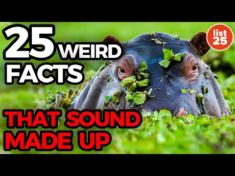 25 Weird Facts That Sound Made Up But Aren’t [Video]